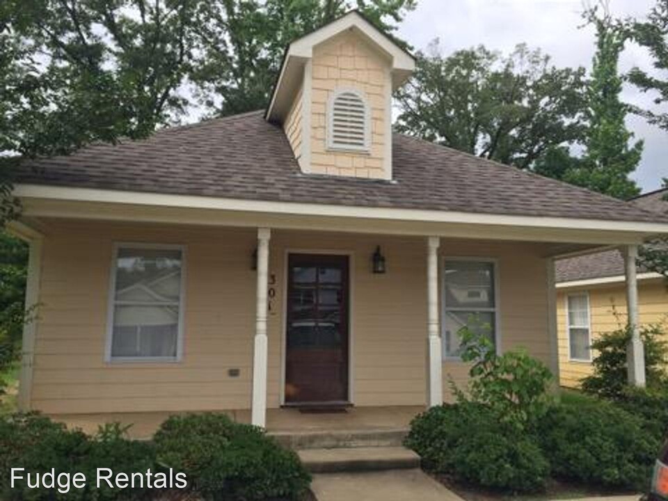 301 Countryview Cove in Oxford, MS - Building Photo