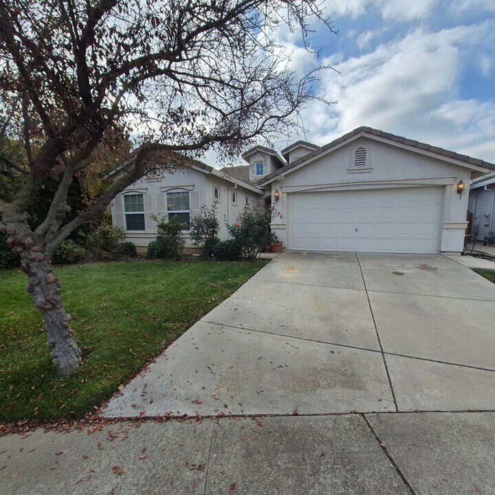 6116 Wild Fox Ct in Elk Grove, CA - Building Photo