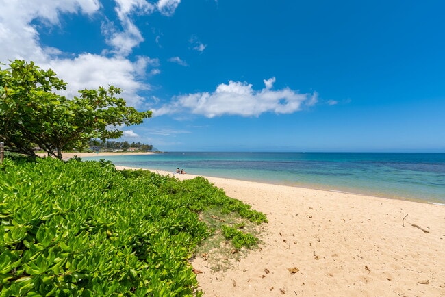 66-303-303 Haleiwa Rd in Haleiwa, HI - Building Photo - Building Photo