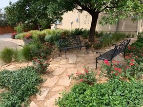 Branchwater in Lubbock, TX - Foto de edificio - Building Photo