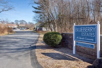 4 Cicero Dr in Lakeville, MA - Building Photo - Building Photo