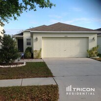 11016 Golden Silence Dr in Riverview, FL - Building Photo