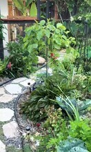 395 Plaza Calimar in Chula Vista, CA - Building Photo - Building Photo