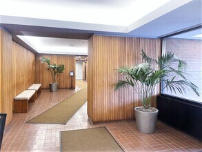 801 S Plymouth Ct in Chicago, IL - Building Photo - Building Photo