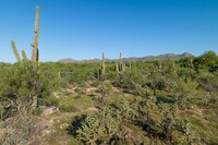 Apartments in Oro Valley, AZ