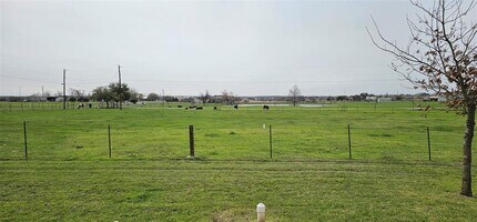 16 Brenda Ln in Round Rock, TX - Building Photo - Building Photo