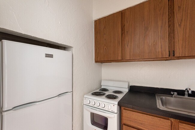 539 W Arlington Pl in Chicago, IL - Building Photo - Building Photo