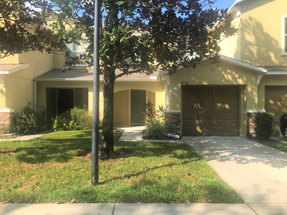 4562 Limerick Dr in Tampa, FL - Building Photo