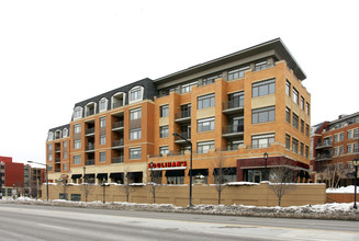 510-608 W Touhy Ave in Park Ridge, IL - Building Photo - Building Photo