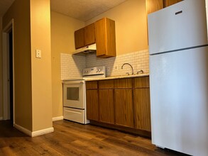 232-238 Elyria St in Lodi, OH - Building Photo - Building Photo