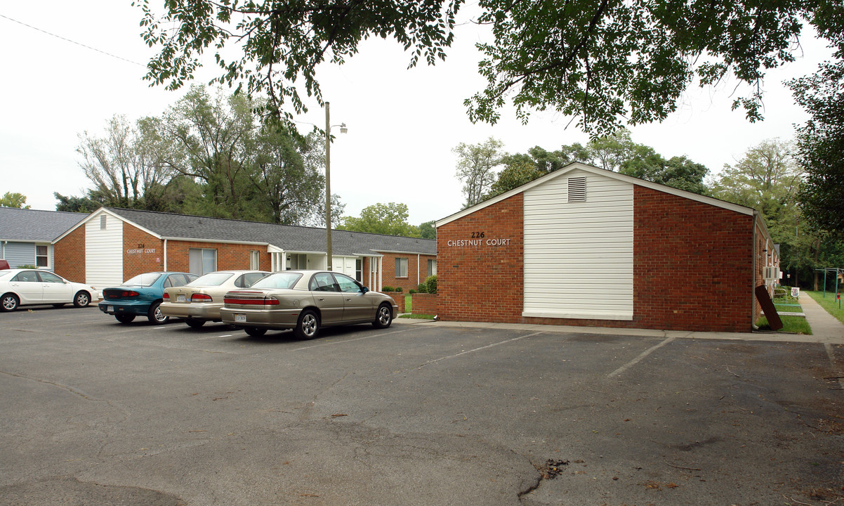 226 Chestnut St in Salem, VA - Building Photo