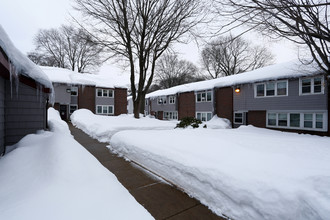 Davison Apartments in Hyde Park, MA - Building Photo - Building Photo