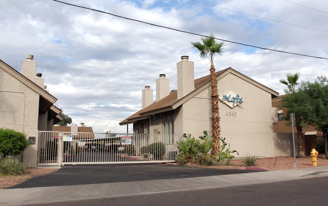 The Lofts in Phoenix, AZ - Building Photo - Building Photo