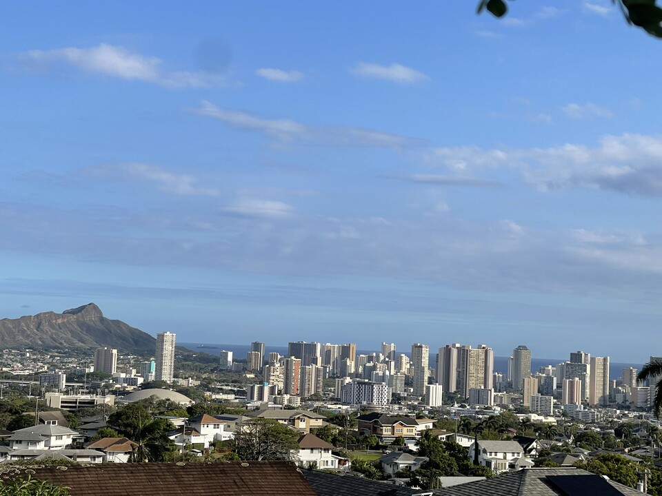 1904 Aleo Pl, Unit Studio Apt in Honolulu, HI - Foto de edificio