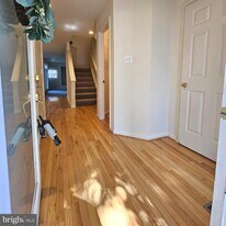 13120 Misty Glen Ln in Fairfax, VA - Building Photo