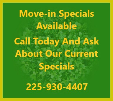 Reserve at Howell Place in Baton Rouge, LA - Foto de edificio - Building Photo