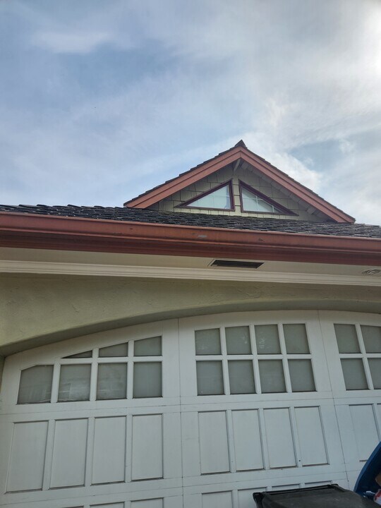348 Halsey Ave in San Jose, CA - Building Photo