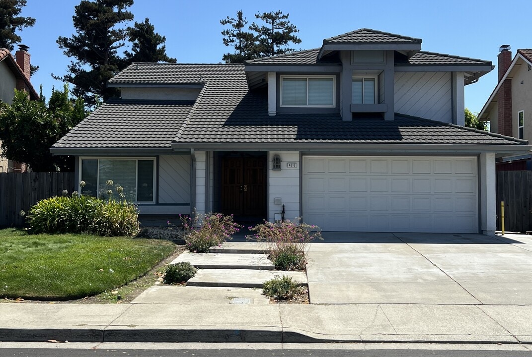 4816 Rocklin Dr in Union City, CA - Foto de edificio
