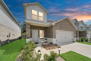 22654 Winter Maple Trl in Spring, TX - Building Photo