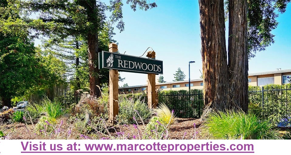 Redwoods Apartments in Hayward, CA - Building Photo