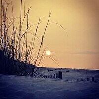 10 Lemoyne Ave photo'