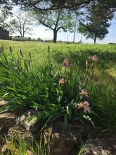 5510 State Hwy J in Kirbyville, MO - Building Photo - Building Photo