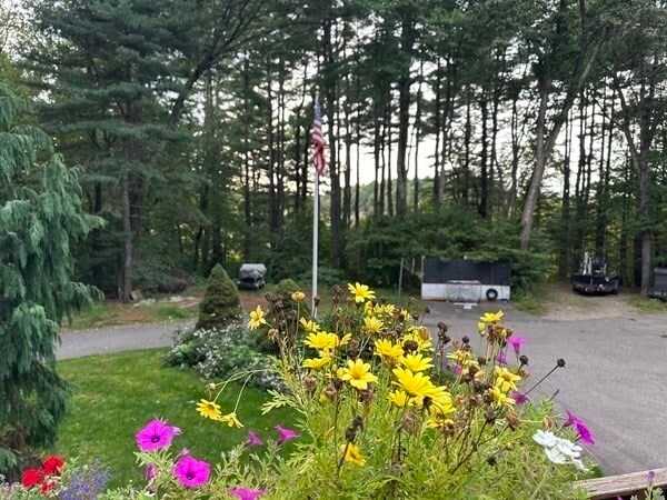 241 South St in Medfield, MA - Building Photo - Building Photo