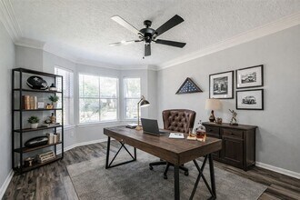 20506 Park Pine Ln in Katy, TX - Building Photo - Building Photo