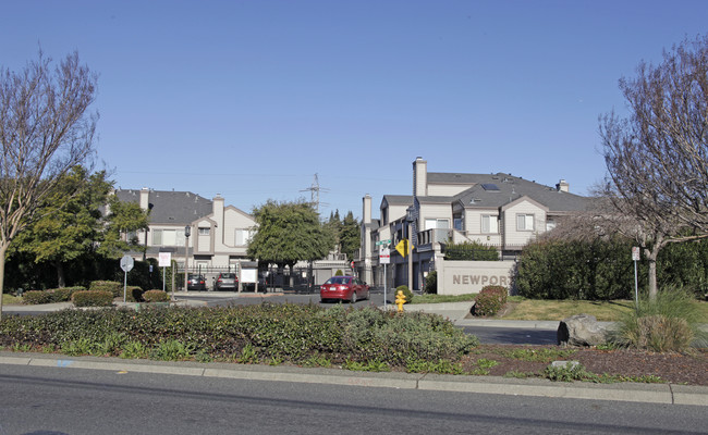 Newport of Hayward in Hayward, CA - Foto de edificio - Building Photo