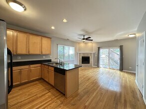 724 N Willard Ct in Chicago, IL - Building Photo - Building Photo