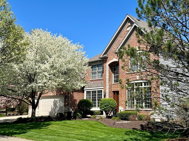 property at 3656 Hector Ln