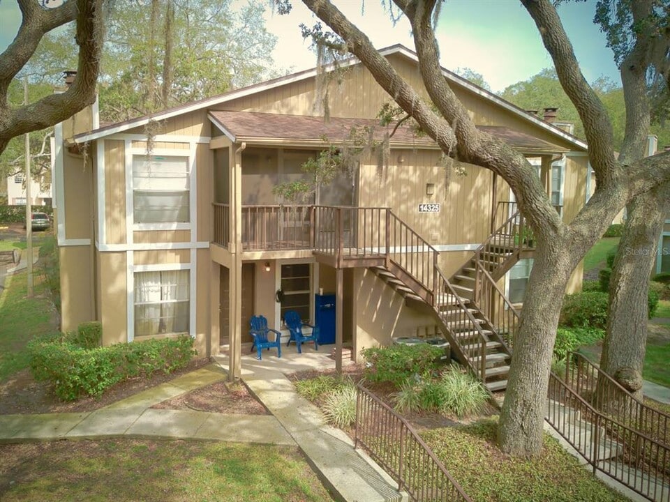14325 Hanging Moss Cir in Tampa, FL - Building Photo