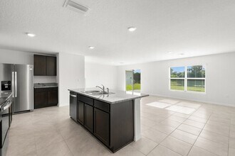 11918 Downy Birch Dr in Riverview, FL - Building Photo - Building Photo