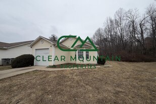 17 Swamp Fire Ct in Greenville, SC - Building Photo