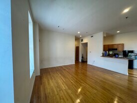 167 W Springfield St, Unit E1 in Boston, MA - Building Photo