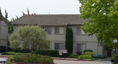 Mohr Terrace Apartments in Concord, CA - Building Photo - Building Photo