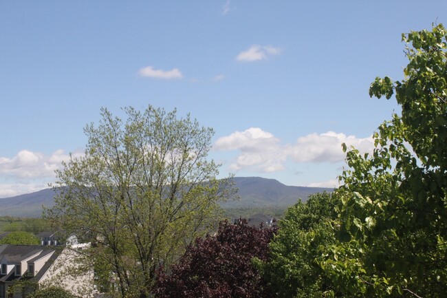 property at 1010 Blue Ridge Dr