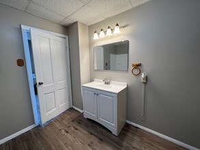 1519 Chestnut St in Quincy, IL - Building Photo - Building Photo