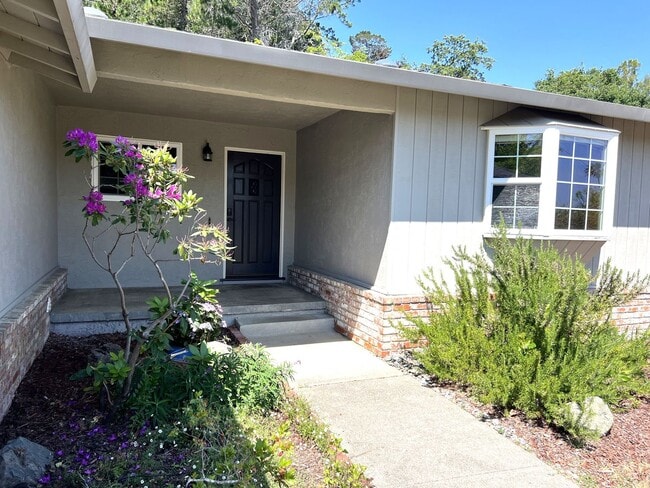 768 Tamarack Dr in San Rafael, CA - Building Photo - Building Photo