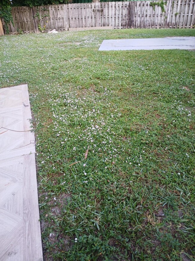 8743 Sol Terrace in West Palm Beach, FL - Building Photo - Building Photo