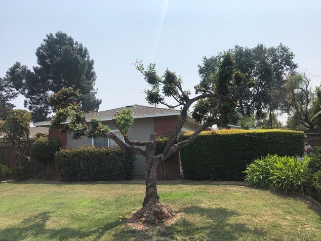 414 Offenbach Pl in Sunnyvale, CA - Building Photo - Building Photo