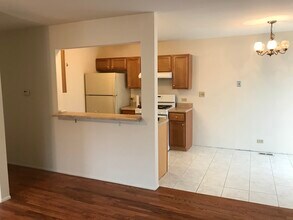 321 Clearwater Ln in Schaumburg, IL - Foto de edificio - Building Photo