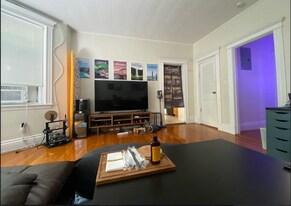 8 Euston St, Unit 2 in Brookline, MA - Building Photo