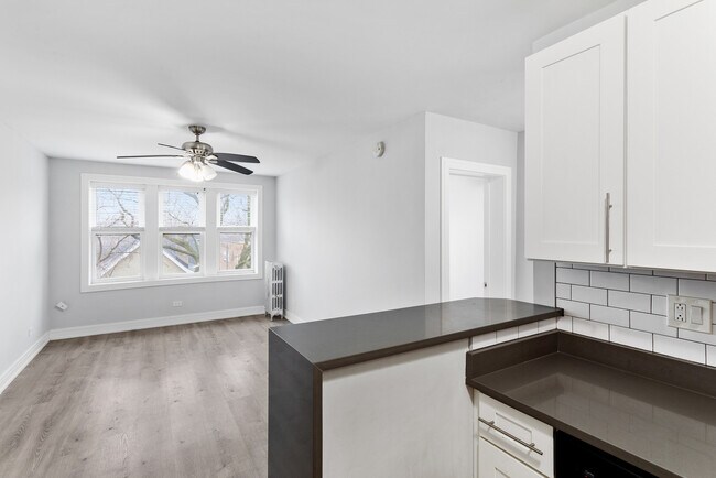 1521 W Sherwin Ave in Chicago, IL - Building Photo - Building Photo