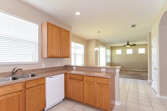 2613 Palesta Dr in Trinity, FL - Building Photo - Building Photo