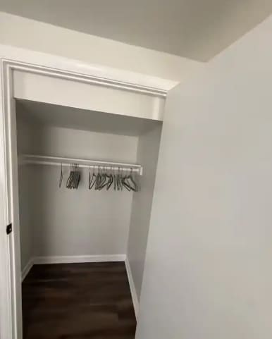 1 Maple Ave in Baltimore, MD - Building Photo - Building Photo