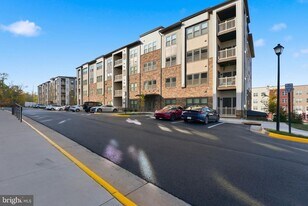 46294 Mount Milstead Ter in Sterling, VA - Building Photo