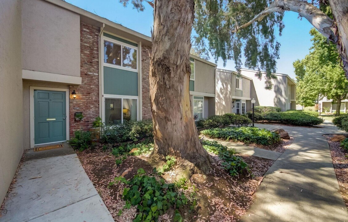 1247 Pine Creek Wy in Concord, CA - Building Photo