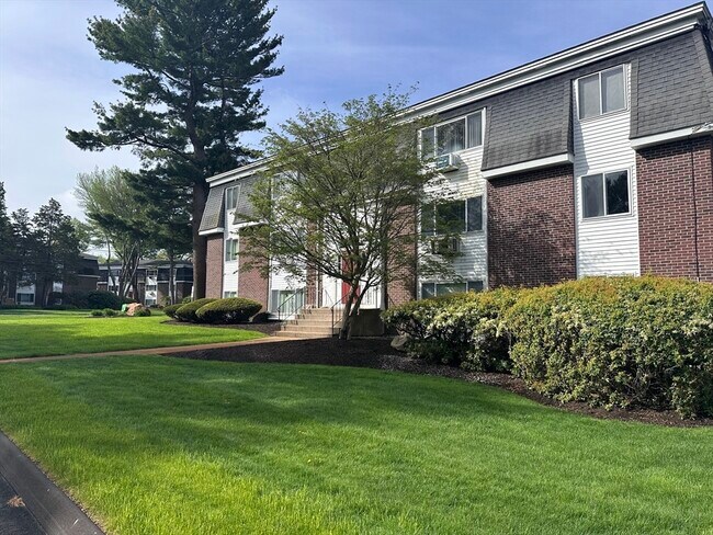 41 Will Dr in Canton, MA - Building Photo - Building Photo