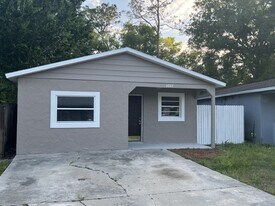 4843 Billy Direct Ln in Lutz, FL - Building Photo